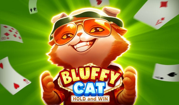 tsbluffy_cat_banner_hyokx.jpg