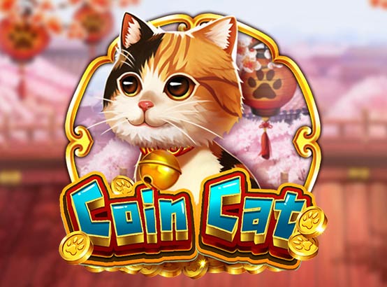 ts_1781067846_1132_tsdragoonsoft_3043_kr.jpg